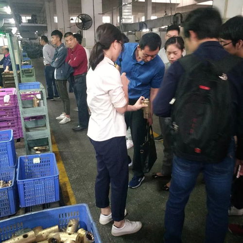 聚力卫浴生态，洞见智造未来——佛山卫浴协会率160余会员企业赴开平卫博城考察记